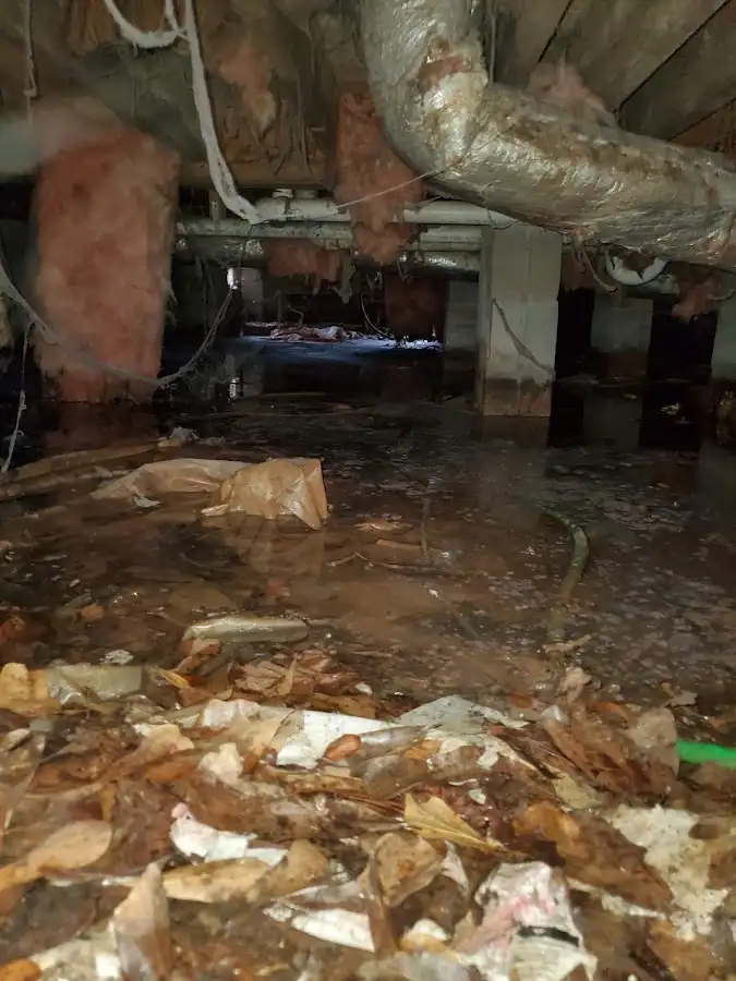 Crawl space flood assessment for Commercial Water Damage Restoration in Bethany